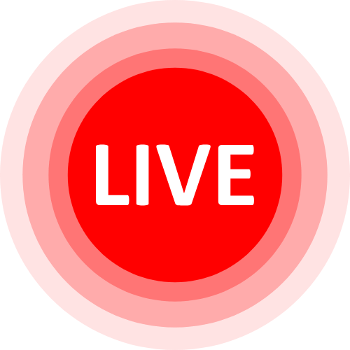 No Panties Live